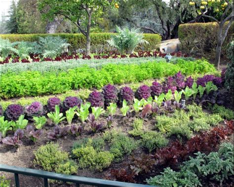 7 Edible Landscape Design Ideas to Make the Most Out of Your Garden