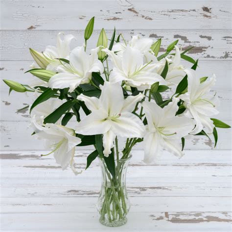 Fresh Lilies