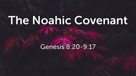 The Noahic Covenant - Logos Sermons