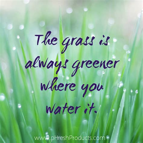 Grass Is Greener Quotes. QuotesGram