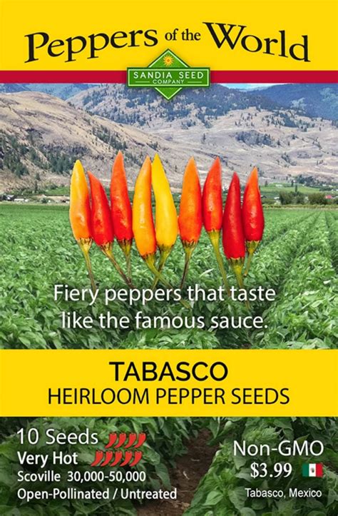 Tabasco Pepper Plant – Sandia Seed Company