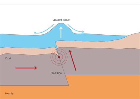 Picture Tsunami: Tsunami Diagrams