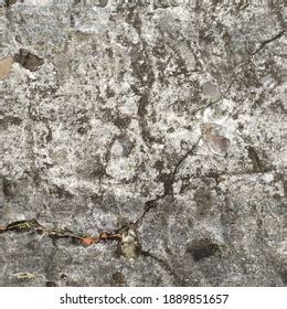 Grey Stone Texture Background Stone Wallpaper Stock Photo 1889851657 ...