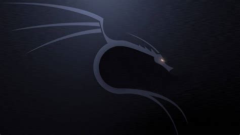 [100+] Kali Linux Wallpapers | Wallpapers.com