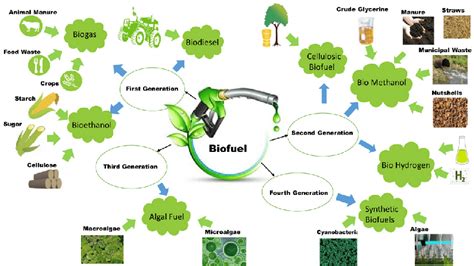 A schematic representation of the types and generation of biofuels ...