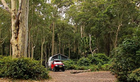 Depot Beach campground | NSW National Parks