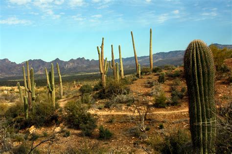 Arizona Trail – Tales of a vanlife couple