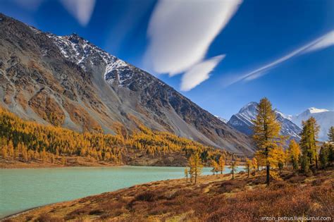 Golden Autumn in the Altai Mountains · Russia Travel Blog