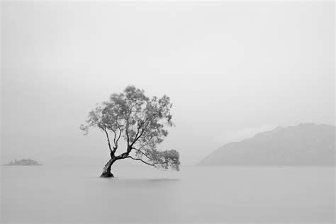 Six Reasons You Must Use Black & White for Landscape Photography ...