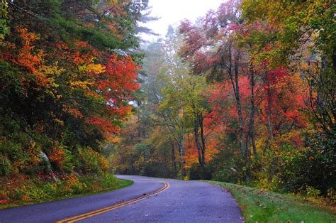 Tennessee Fall Foliage | Gatlinburg in Fall - The Park Vista