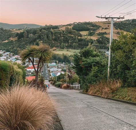 Baldwin Street in Dunedin - the world’s steepest street (for now!), New ...