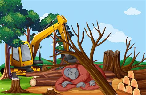 Causes, effets et contrôle de la déforestation – StackLima