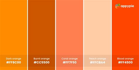 History of Orange Color: 25 Best Colors That Go With Orange Color in ...