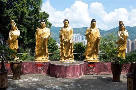 Discover The Incredible Ten Thousand Buddhas Monastery In Hong Kong