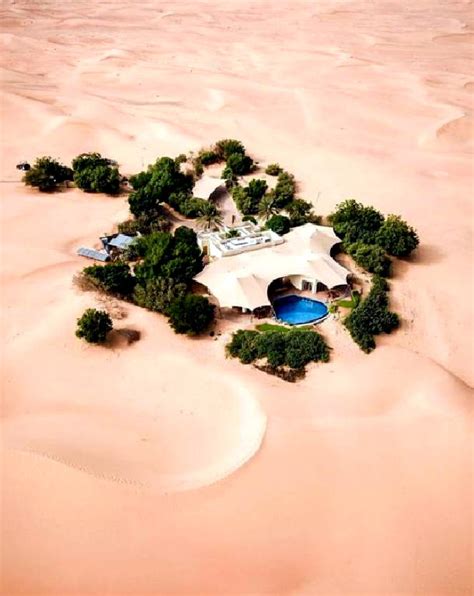 Desert Oasis - Wiolo.com