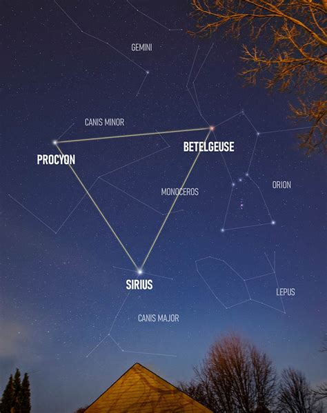 The Star Betelgeuse | Pictures, Location, and Key Facts