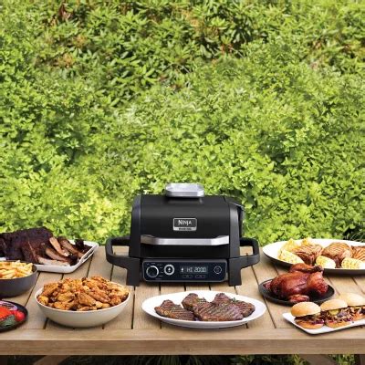 Ninja Woodfire Outdoor Grill & Smoker, OG705A, 7-in-1 Master Grill ...