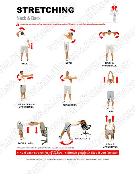 9 Neck & Back Stretches - PDF file plus tracking guide