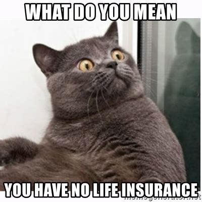 Insurance Memes: 94 Funniest Memes Ever Created!