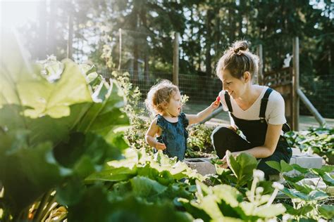 A Food Garden Provides Security in a Time of Great Uncertainty