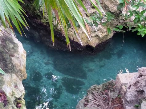 Xcaret Eco Park Photo and Video Gallery | FamilyVacationHub