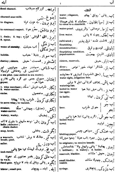 The Modern Persian Dictionary