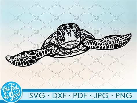 Sea Turtle Svg Seaturtle Svg Ocean Svg Files For Cricut Svg Png