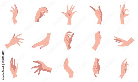 Vector collection of 15 different natural hand poses on white ...