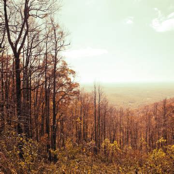 Huck's Lost Mine - Blue Ridge GA Attractions - Family Friendly Fun!