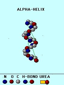 The Alpha-Helix Structure