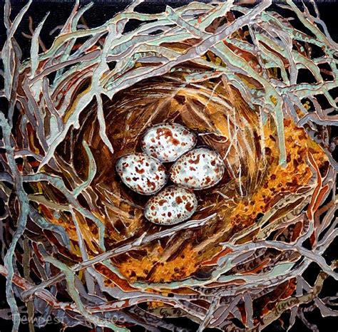 Mockingbird Nest by TempestErika on DeviantArt