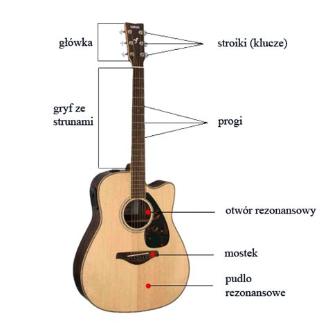 Budowa Gitary Progi Struny Gryf Stroiki Mostek Główka Klucze