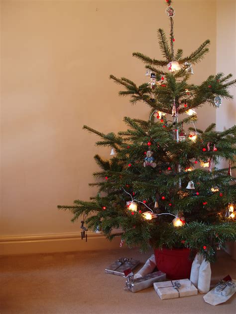 Photo of christmas tree presents | Free christmas images