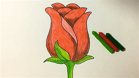 Cách Vẽ Và Tô Màu Hoa Hồng | How to draw a rose - YouTube