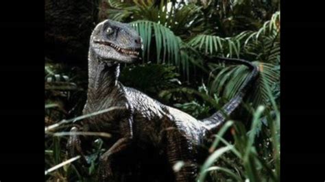 Jurassic Park Velociraptor Sound Design Explained By Gary, 55% OFF