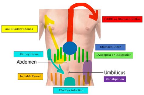 Abdominal Pain Causes, Symptoms and Treatment