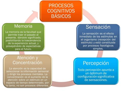 Mapa Mental Procesos Cognitivos Basicos Procesos Cognitivos Atencion ...