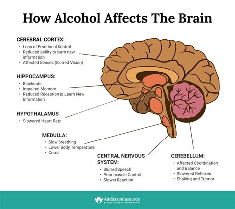 Alcohol Effects On Brain – Telegraph