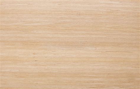 Bright wood texture stock photo. Image of abstract, timber - 64096964