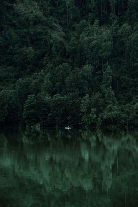 Nature Dark Green Aesthetic Wallpapers - Wallpaper Cave