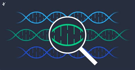 Genetic Algorithms: Search and Optimization by Natural Selection | Toptal®