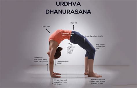 Chakrasana (Wheel Pose): steps, precautions, benefits - Finess Yoga