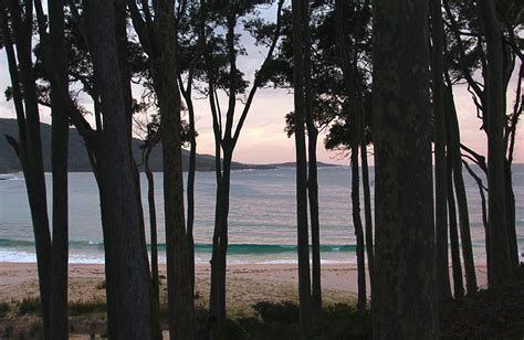 Depot Beach campground | NSW National Parks