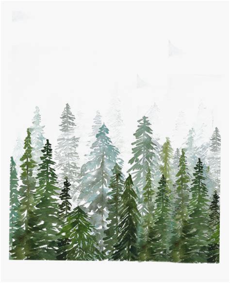 #лес - Watercolor Pine Tree Forest, HD Png Download , Transparent Png ...