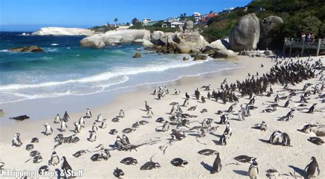 9 Best Cape Town Beaches You Should Visit Right Now