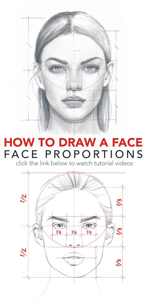 How to draw a face. Face proportions by NadiaCoolrista | Face drawing ...