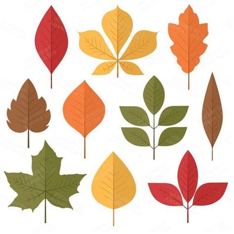 Professional Autumn Leaf Clipart, Autumn Leaf Vectors, Fall Leaves Clip ...