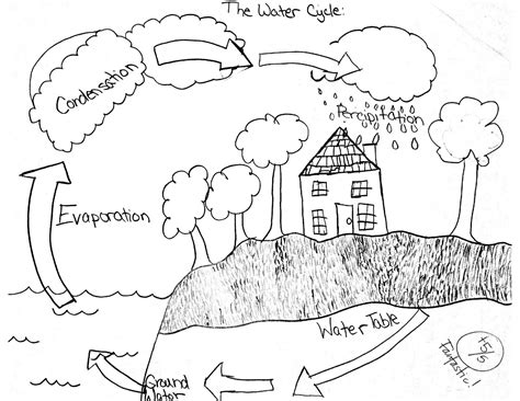 13 Best Images of The Water Cycle Worksheet Answers - Blank Water Cycle ...