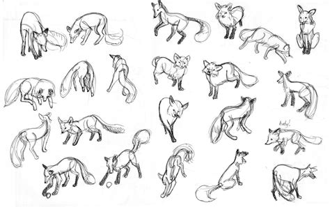 Gesture Drawings Of Animals - Creativeline