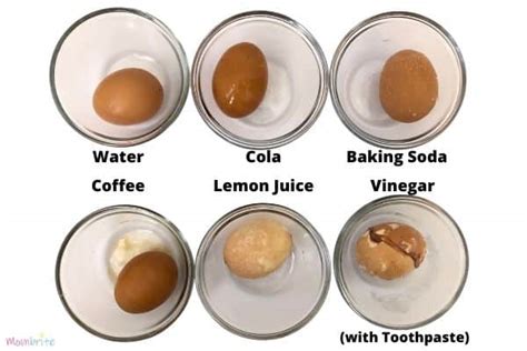 Tooth Decay Eggshells Experiment | Mombrite